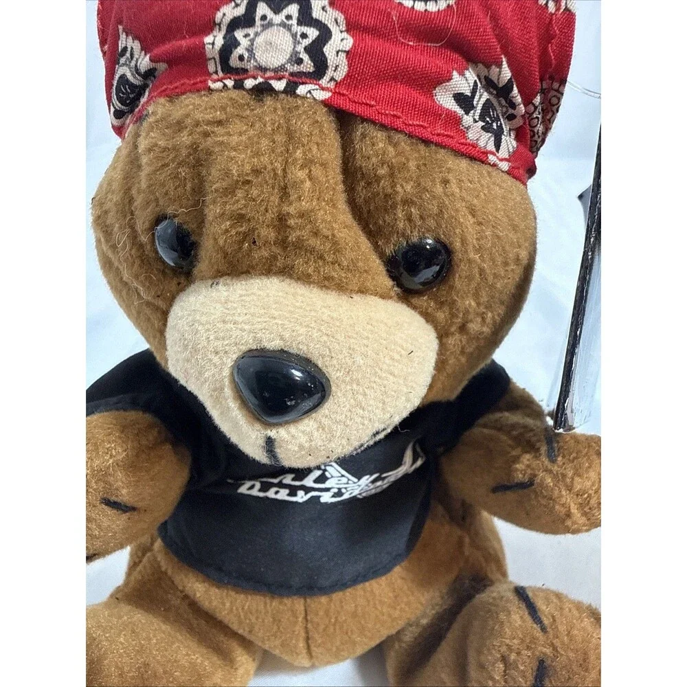 N/A bear punky